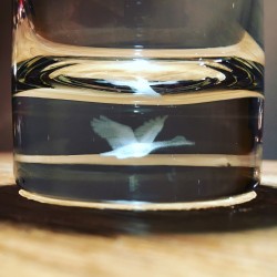 Glas Grey Goose long drink 3D