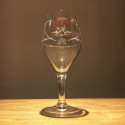 Tasting glass beer LeFort (galopin)