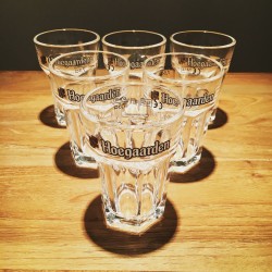 Glass beer Hoegaarden - tasting glass (galopin)