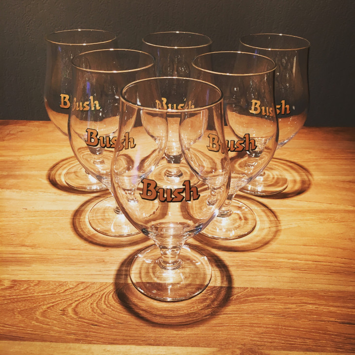 Glass beer Bush Beer brown logo