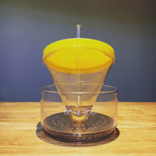 Glass Belvedere vodka cocktail cup yellow
