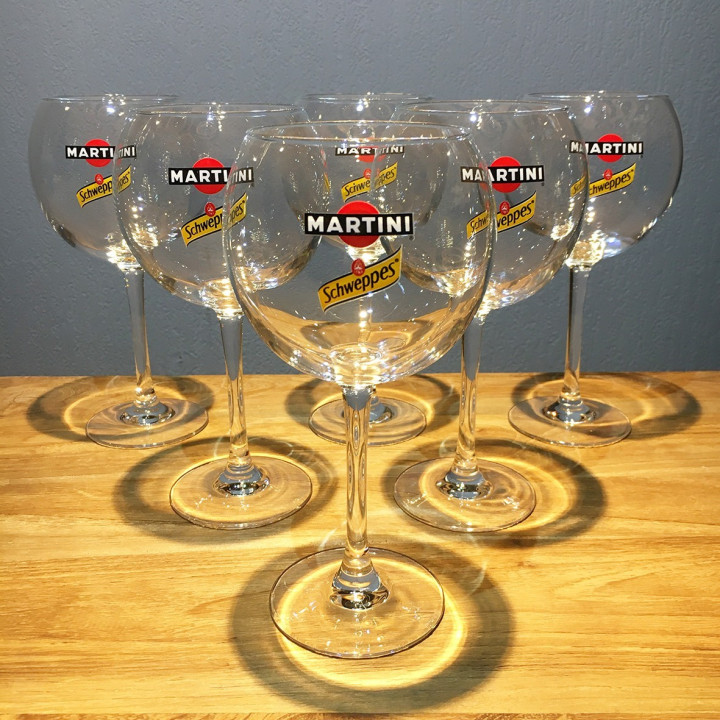 Verre Martini & Schweppes Tonic