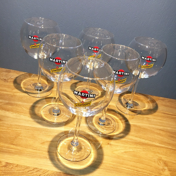 Verre Martini & Schweppes Tonic