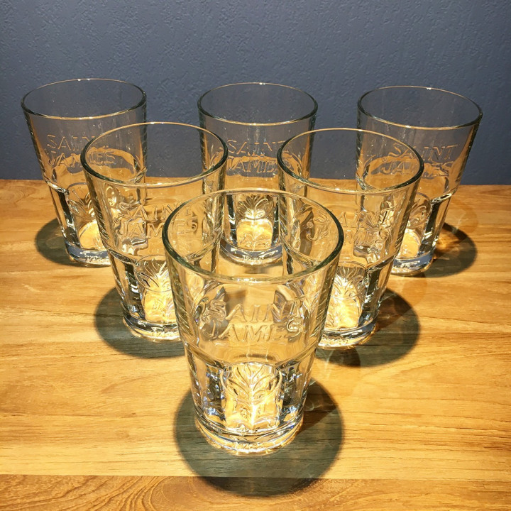 Glass Saint James model mojito 2