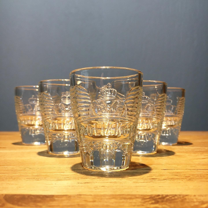 Glas Poliakov shooter